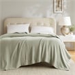 Olliix Madison Park Egyptian Cotton King Blanket Cotton in Sage Green