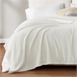 Olliix True North by Sleep Philosophy Microfleece Twin Blanket in Ivory