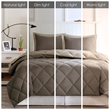 Olliix Madison Park Essentials Larkspur King Comforter Mini Set in Brown/Sand