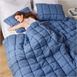 Olliix Intelligent Design Dream Puff Twin Comforter Mini Set Polyester in Navy