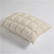 Olliix Madison Park Stay Puffed King Pillow Protector Polyester in Tan