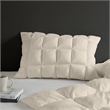 Olliix Madison Park Stay Puffed King Pillow Protector Polyester in Tan