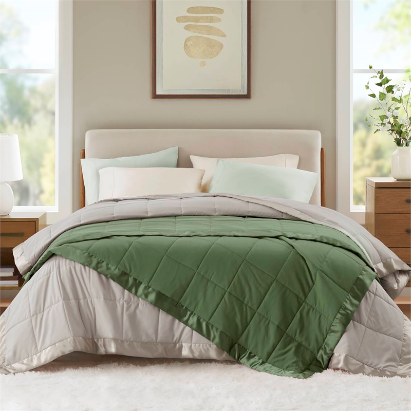 Olliix Madison Park Windom King Blanket Polyester in Green