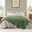 Olliix Madison Park Windom King Blanket Polyester in Green