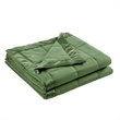 Olliix Madison Park Windom King Blanket Polyester in Green