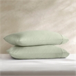 Olliix Harbor House Egyptian Standard Sham Pillowcase Set in Sage