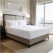 Olliix Nomad Home King Jacquard Essential Lark Coverlet in White