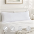 Olliix Madison Park 11.8 in Dia x 17.25 in H Nylon Spandex Cushion in White