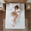 Olliix Madison Park 11.8 in Dia x 17.25 in H Nylon Spandex Cushion in White