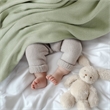 Olliix Madison Park Twin Rayon Blanket in Sage Green