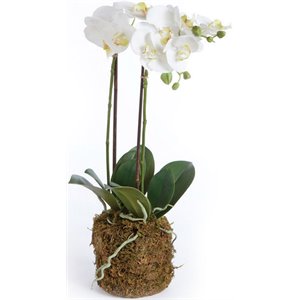 napa home & garden phalaenopsis orchid drop-in painted in white