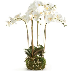 napa home & garden phalaenopsis orchid drop-in hand paint white