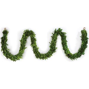 napa home & garden preserved boxwood garland in green