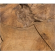 Padma's Plantation Teak Root Tall End Table in Natural