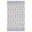Nourison Whimsicle 36x60