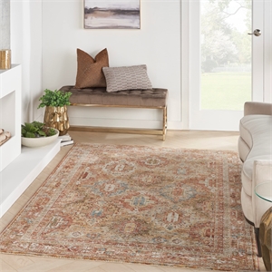 Nourison Petra 3'11&quot x 5'11&quot Rust Indoor Rug