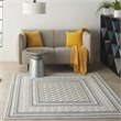 Nourison Calobra 48x72