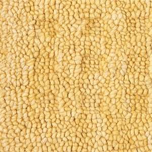Nourison Perris Rectangle Contemporary Wool Area Rug in Gold