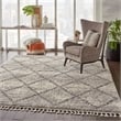 Nourison Scandinavian Shag Rectangle Polypropylene Area Rug in Ivory/Gray