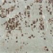 Nourison Euphoria 108x144