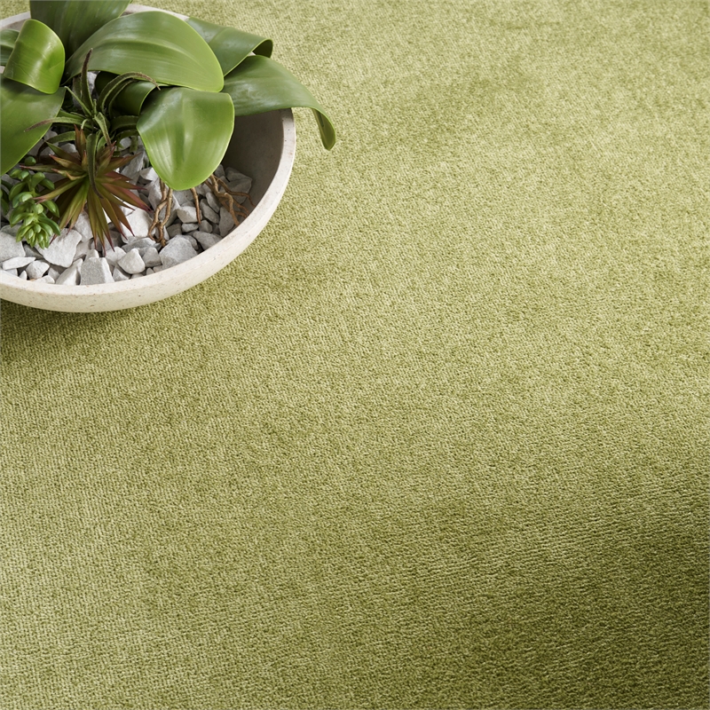 Nourison Essentials 120x168