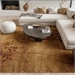 Nourison Somerset 120x168