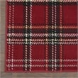 Nourison Grafix 3' x 5' Red Rustic Indoor Rug Polypropylene
