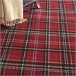 Nourison Grafix 6' x 9' Red Rustic Indoor Rug Polypropylene