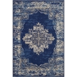 Nourison Grafix 6' x 9' Navy Blue Transitional Indoor Rug Polypropylene
