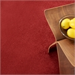 Nourison Essentials 5' x 7' Brick Red Outdoor Indoor/Outdoor Rug