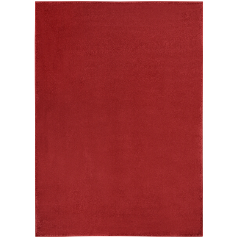 Nourison Essentials 5' x 7' Brick Red Outdoor Indoor/Outdoor Rug