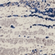 Nourison Twilight 96
