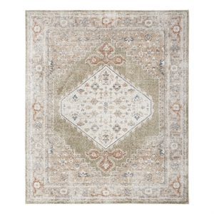 Nourison Home Astra Machine Washable 8' x 10' Sage Multicolor Fabric Area Rug