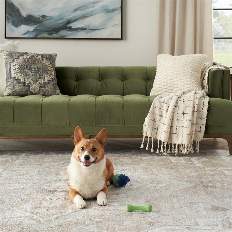 Nourison Home Astra Machine Washable 9' x 12' Beige Fabric Area Rug