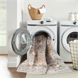 Nourison Astra Machine Washable 2'2
