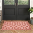 Nourison Easy Care 2' x 4' Coral Orange Fabric Modern Area Rug (2' x 4')