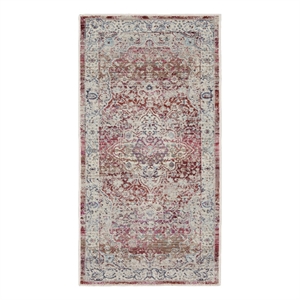 Nourison Vintage 2' x 4' Area Rug