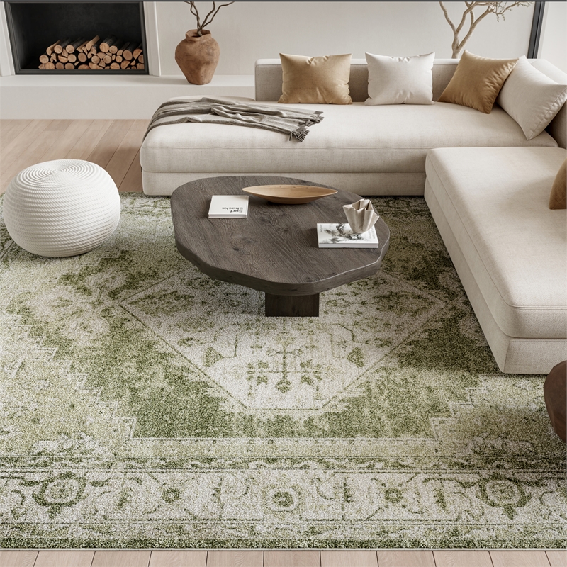 Nourison Home Astra Machine Washable 7' x 9' Fabric Ivory Green Area Rug