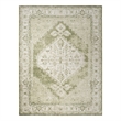 Nourison Home Astra Machine Washable 7' x 9' Fabric Ivory Green Area Rug