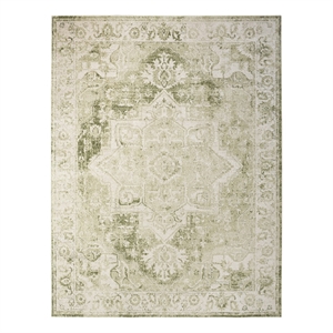 Nourison Home Astra Machine Washable 7' x 9' Fabric Ivory Green Area Rug