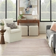 Nourison Home Washable Essentials 4' x 6' Fabric Ivory Mocha Area Rug