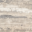 Nourison Home Eco-Friendly 6' x 9' Fabric Ivory Multicolor Area Rug
