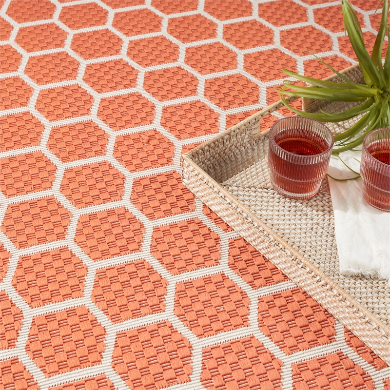 Nourison Reversible Indoor Outdoor 4' x 6' Coral Fabric Contemporary Area Rug