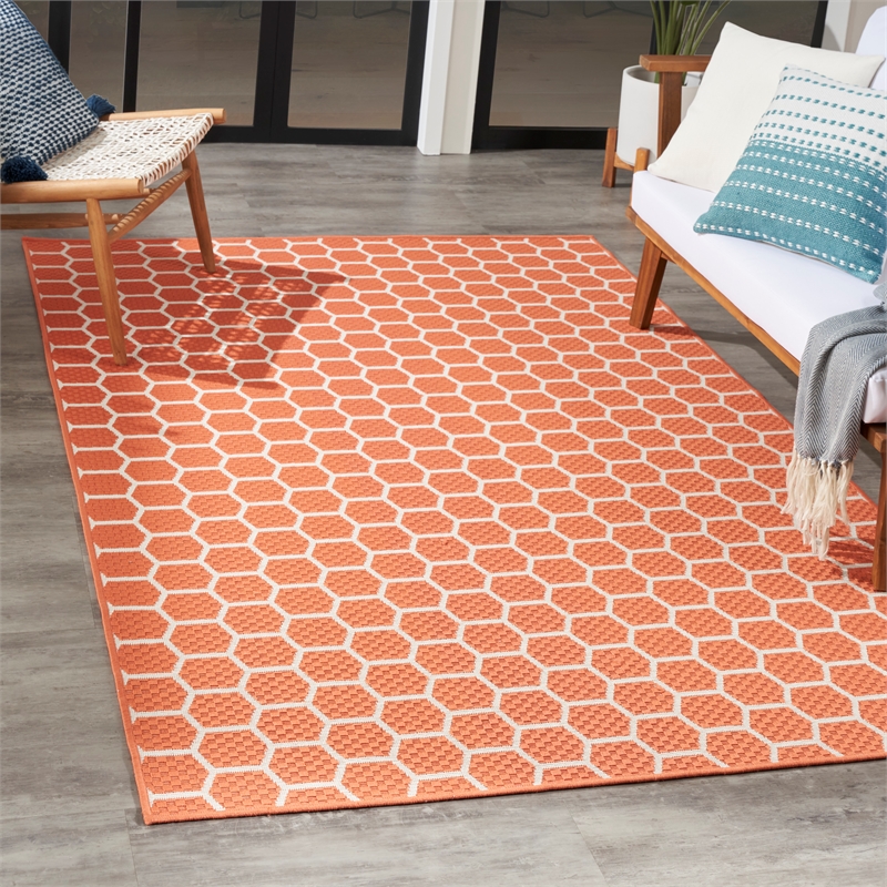 Nourison Reversible Indoor Outdoor 4' x 6' Coral Fabric Contemporary Area Rug