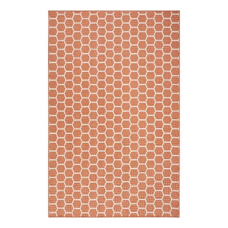 Nourison Reversible Indoor Outdoor 4' x 6' Coral Fabric Contemporary Area Rug