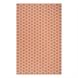 Nourison Reversible Indoor Outdoor 4' x 6' Coral Fabric Contemporary Area Rug