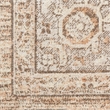 Nourison Astra Machine Washable Center medallion Beige Fabric Area Rug (2' x 4')