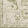 Nourison Astra Machine Washable Center medallion Ivory Green  Area Rug (2' x 4')