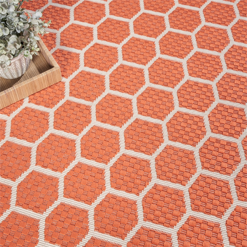Nourison Reversible Ind/Outd 8' x Round Coral Area Rug