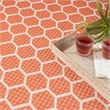 Nourison Reversible Ind/Outd 9' x 12' Coral Area Rug